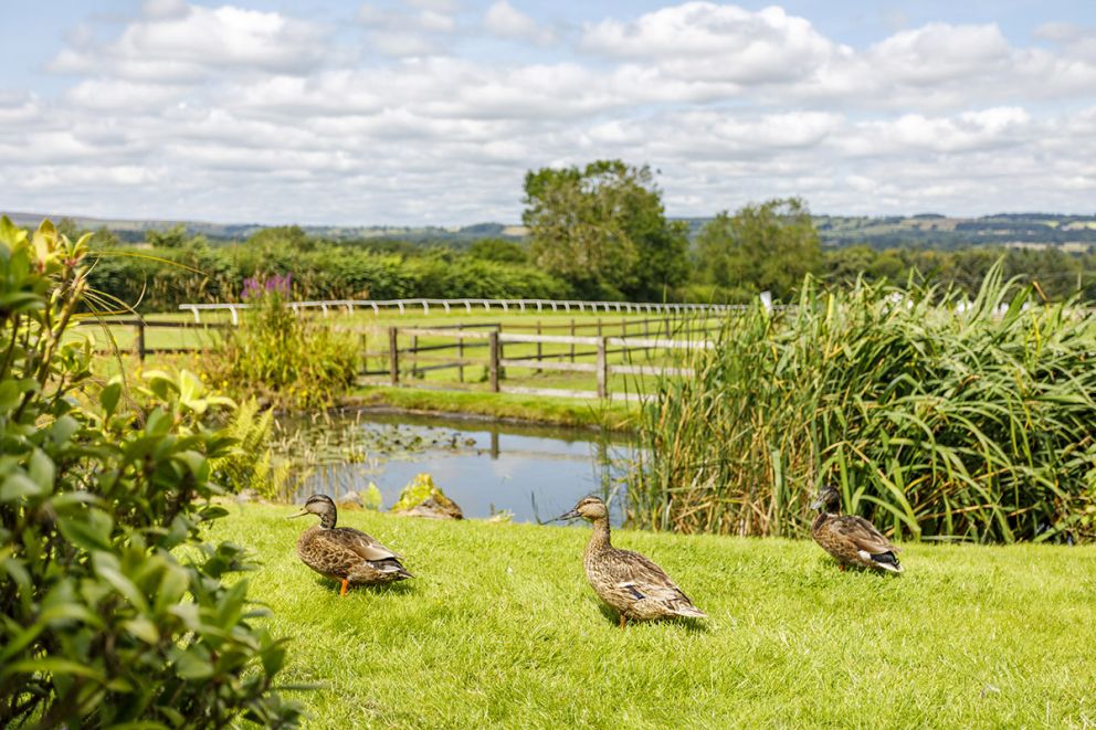 Spindrifter at Sun Hill Lodges