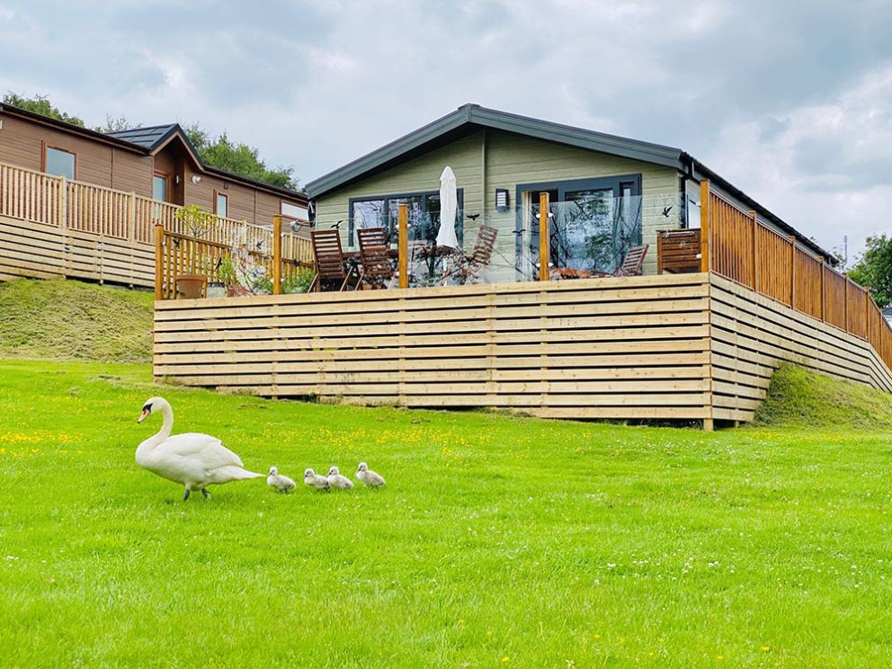 The Lodge at Docker Holiday Park 