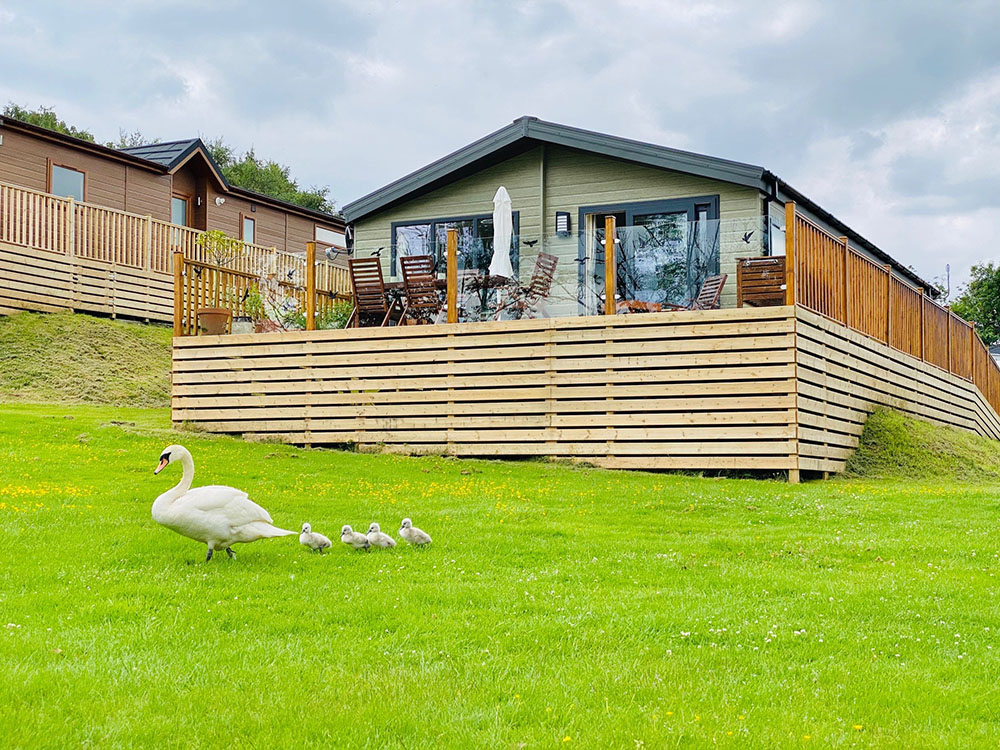 The Lodge at Docker Holiday Park Carnforth, Lancashire Self