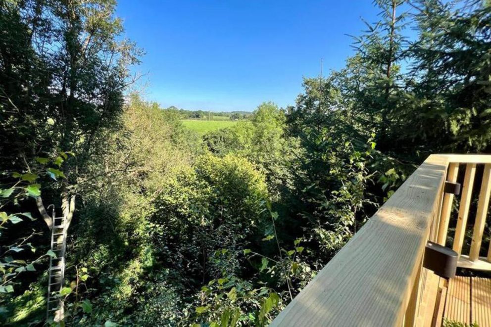 The Pines Treehouse at Treetops Hideouts