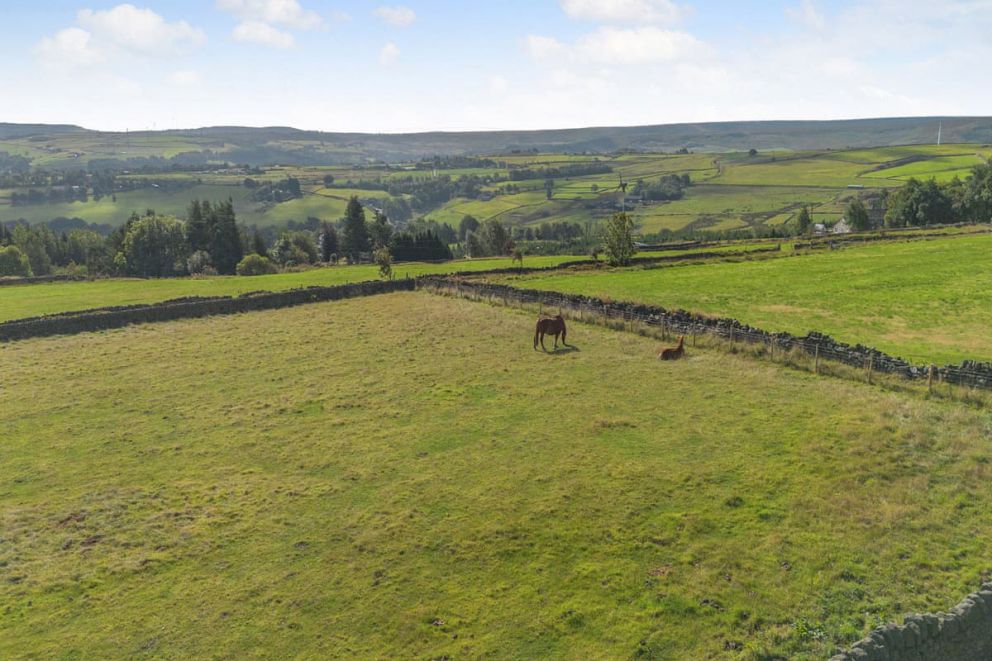Thornton Park Farm Lodges