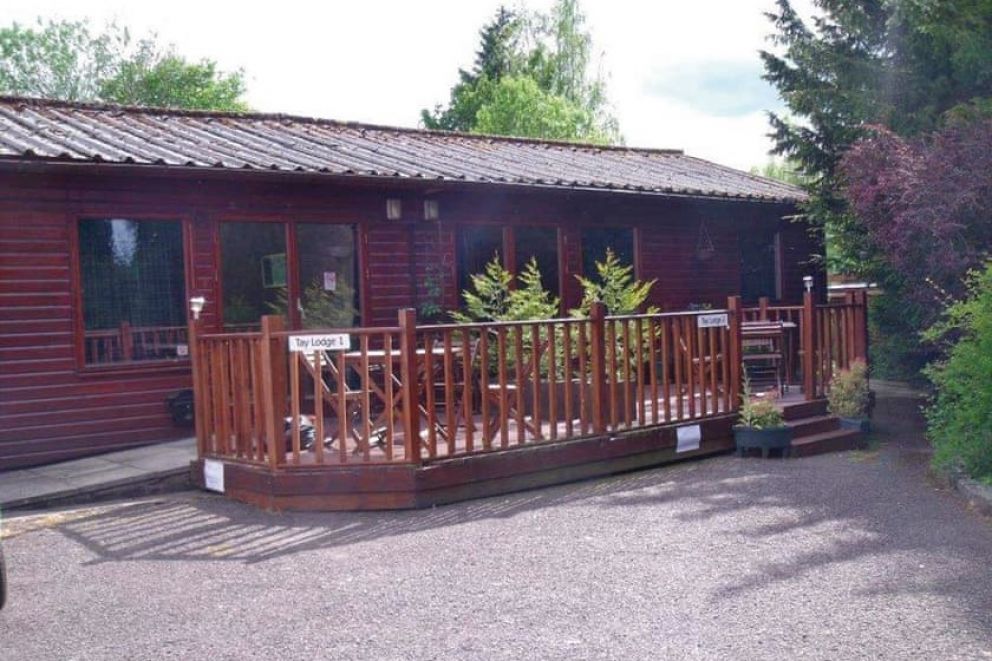 Beech Hedge Perthshire