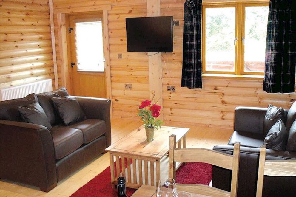 Beech Hedge Perthshire