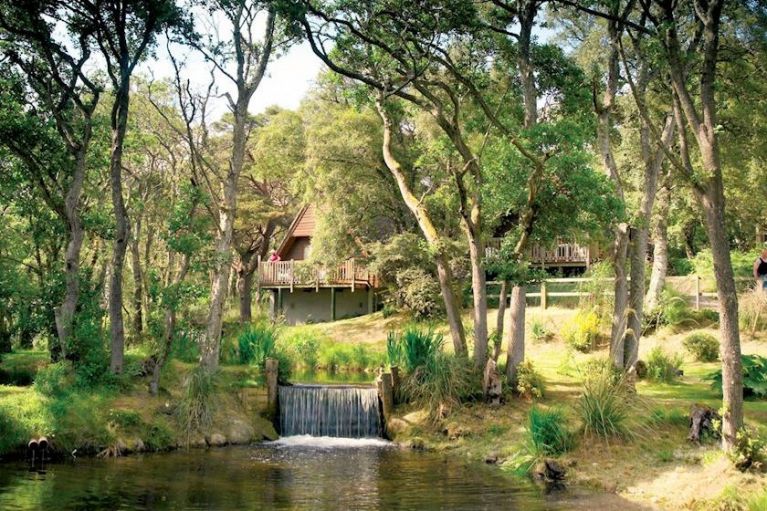 Delny Highland Lodges Nr Invergordon, Rossshire Self Catering