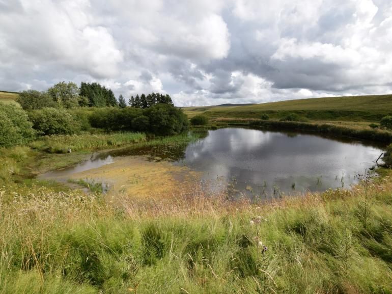 Garpel Estate Cabin in Muirkirk Muirkirk, Ayrshire Self Catering
