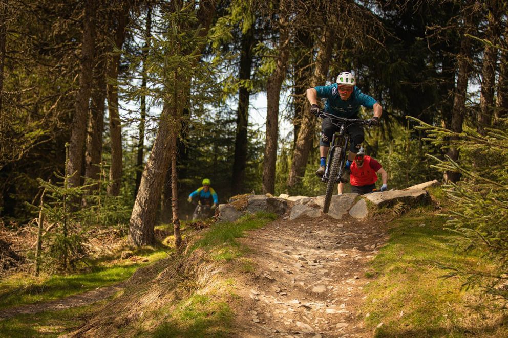 Glentress Forest