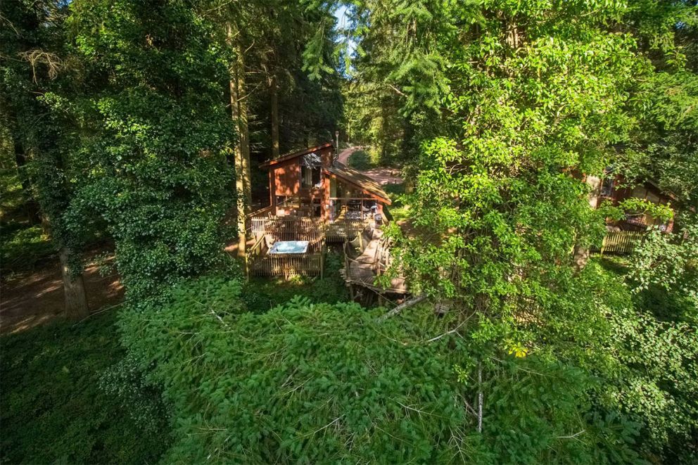 Glentress Forest Golden Oak Treehouse for 10 in Scottish Borders
