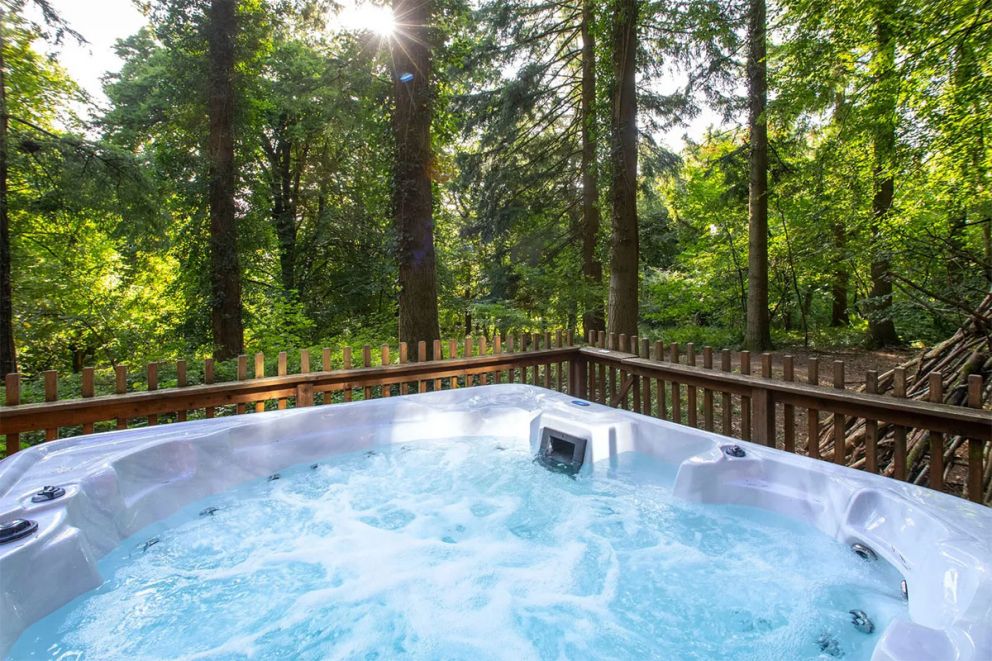 Glentress Forest Golden Oak Treehouse for 10 in Scottish Borders