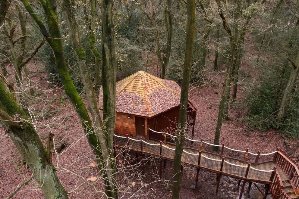 Glentress Forest Golden Oak Treehouse for 10 in Scottish Borders