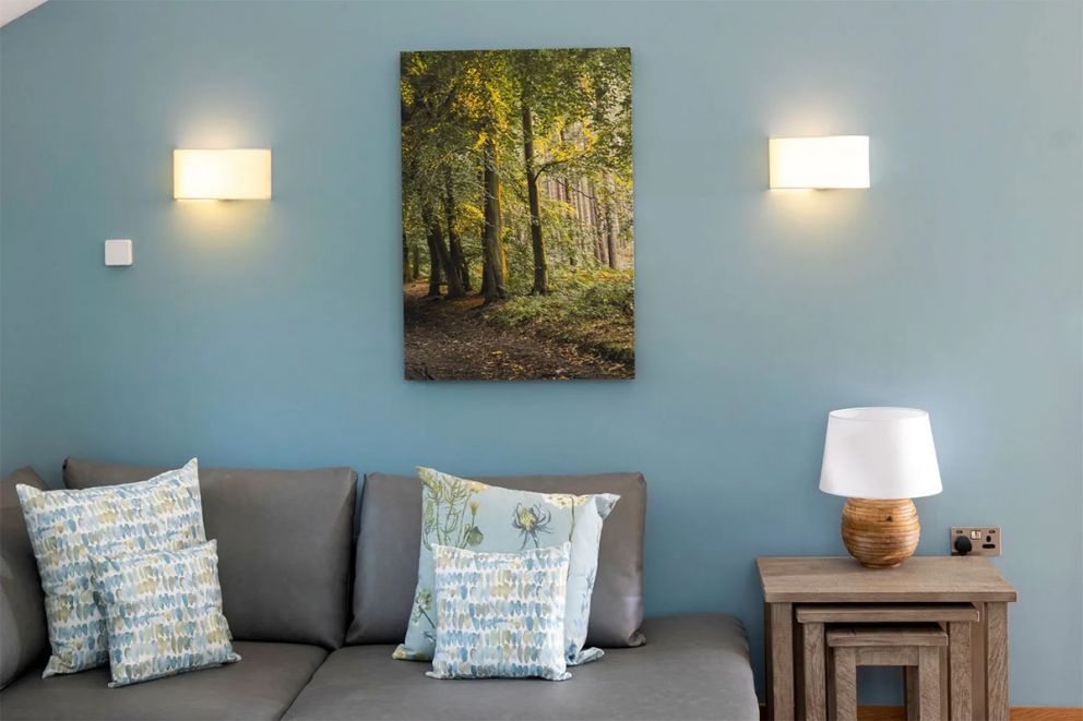 Glentress Forest Silver Birch Wheelchair Accessible Cabin