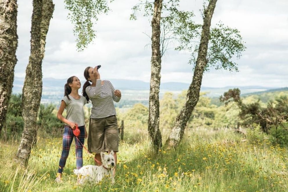 Kiltarlity Lodges Inverness-shire