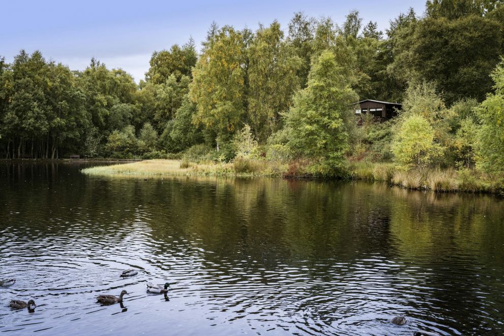 Lochanhully Resort Scotland