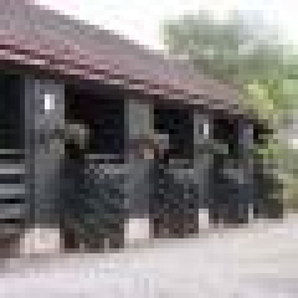 Logierait Pine Lodges, Pitlochry, Perthshire - wheelchair accessible, pet friendly lodges next to the River Tay