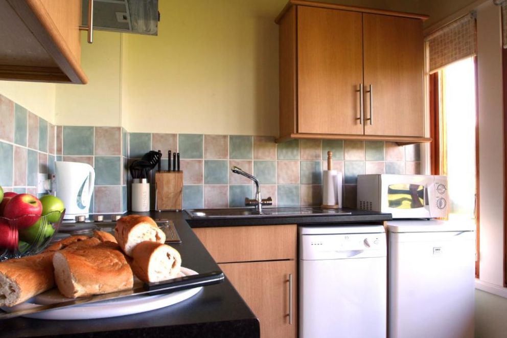 Logierait Pine Lodges, Pitlochry, Perthshire - wheelchair accessible, pet friendly lodges next to the River Tay