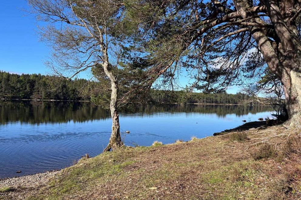 Migdale Heights - Luxury Cabins in The Highlands