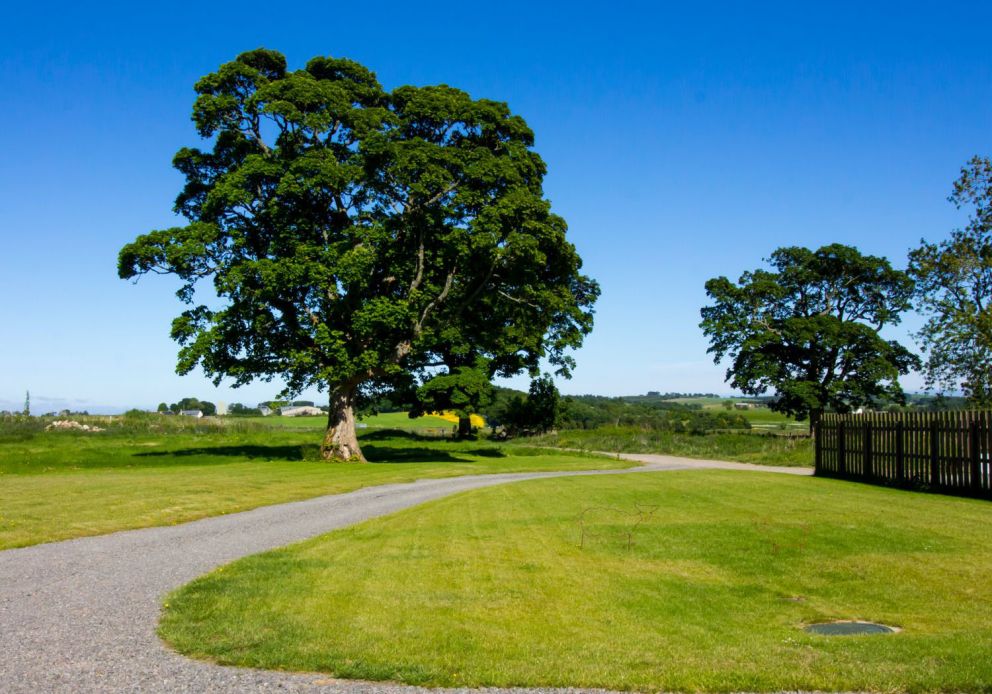 Nef-Stedi Aberdeenshire