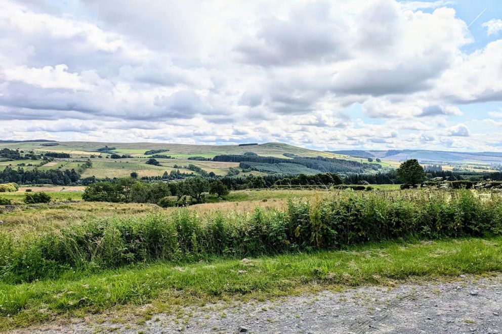 Pet Friendly - Lodge at Riverview Holiday Park