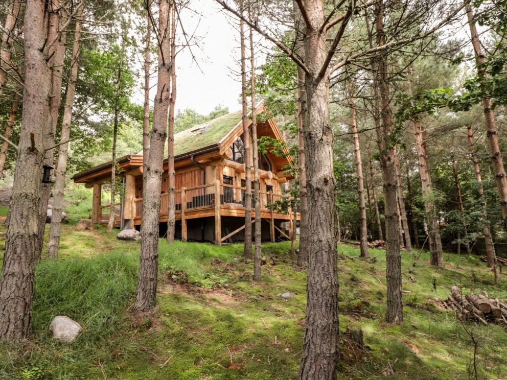 Pine Marten Lodge, Highlands - woodland retreat with hot tub