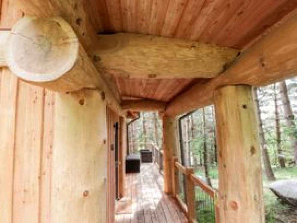 Pine Marten Lodge, Highlands - woodland retreat with hot tub