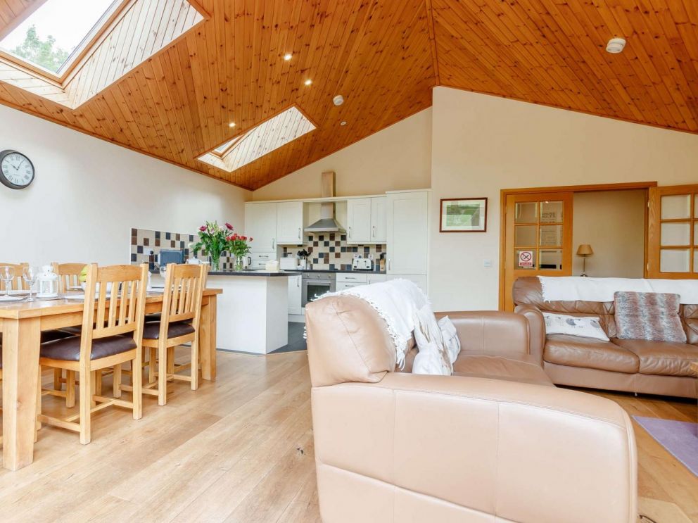 Rowan Lodge Perthshire, Abernyte - pet friendly, holiday lodge with hot tub, barbeque and pizza oven