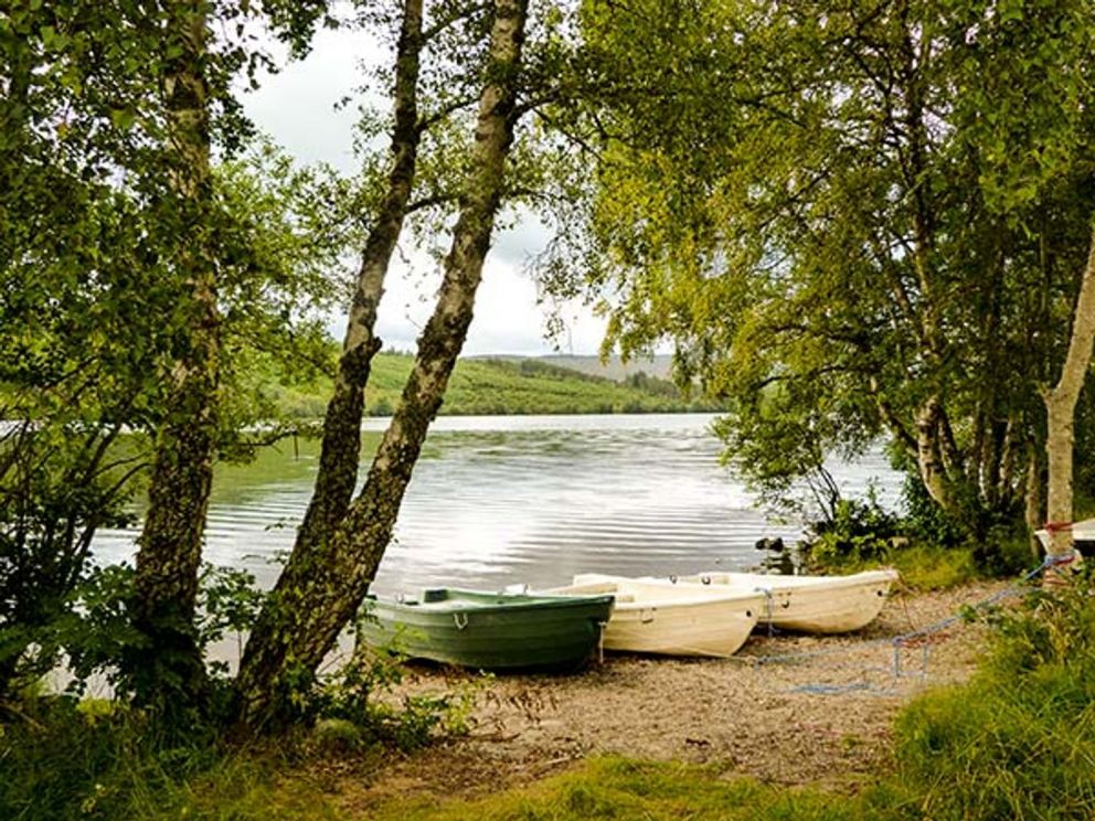 Stone Water Cottage Highland