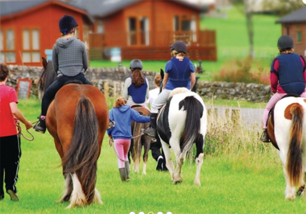 Three Lochs Holiday Park Wigtownshire