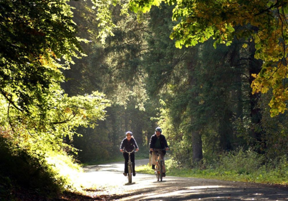 Three Lochs Holiday Park Wigtownshire