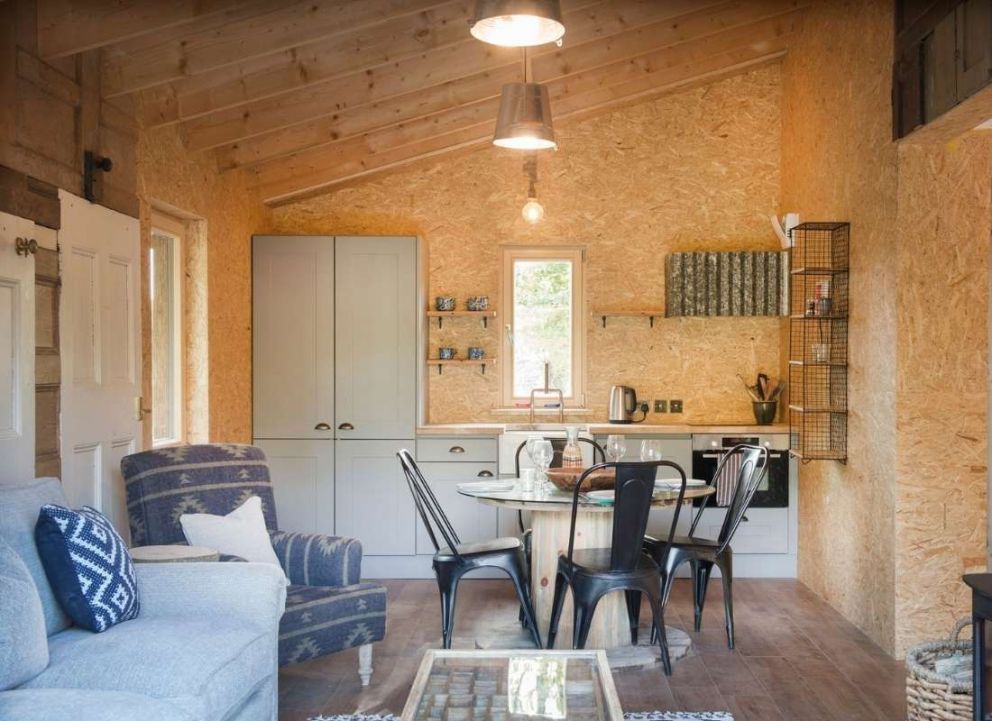 Treecreeper Perthshire