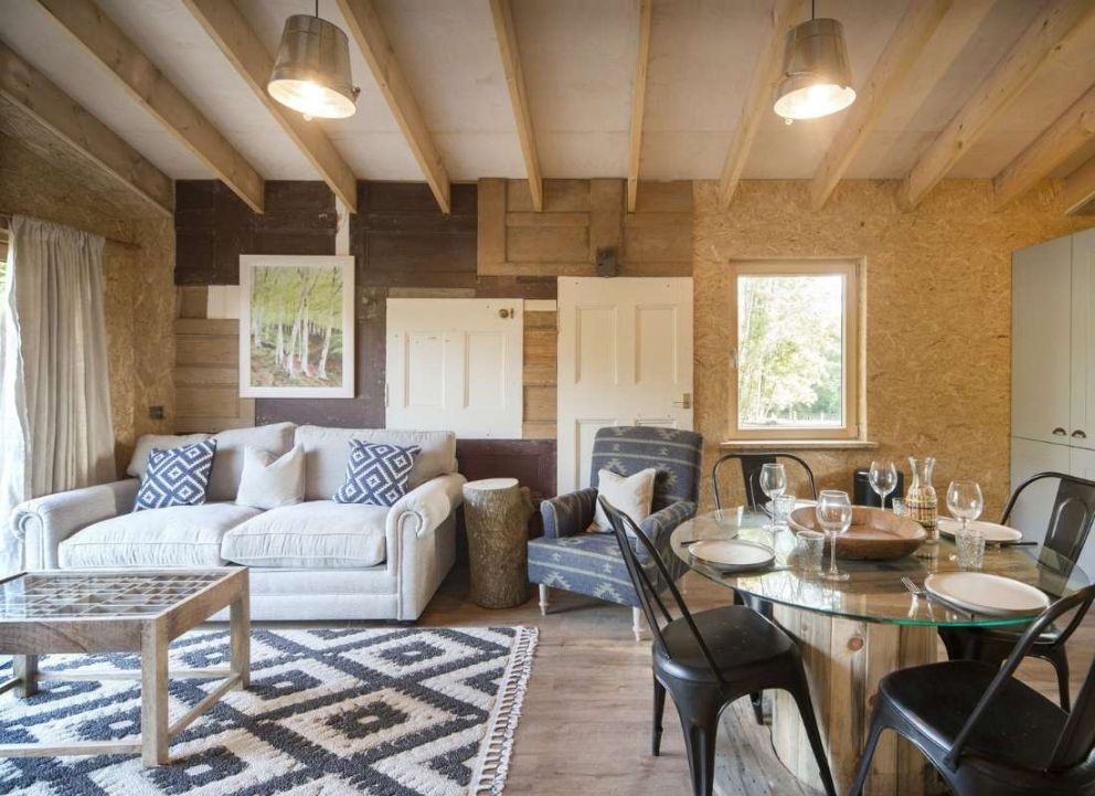 Treecreeper Perthshire