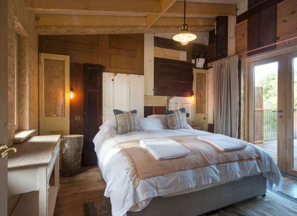 Treecreeper Perthshire