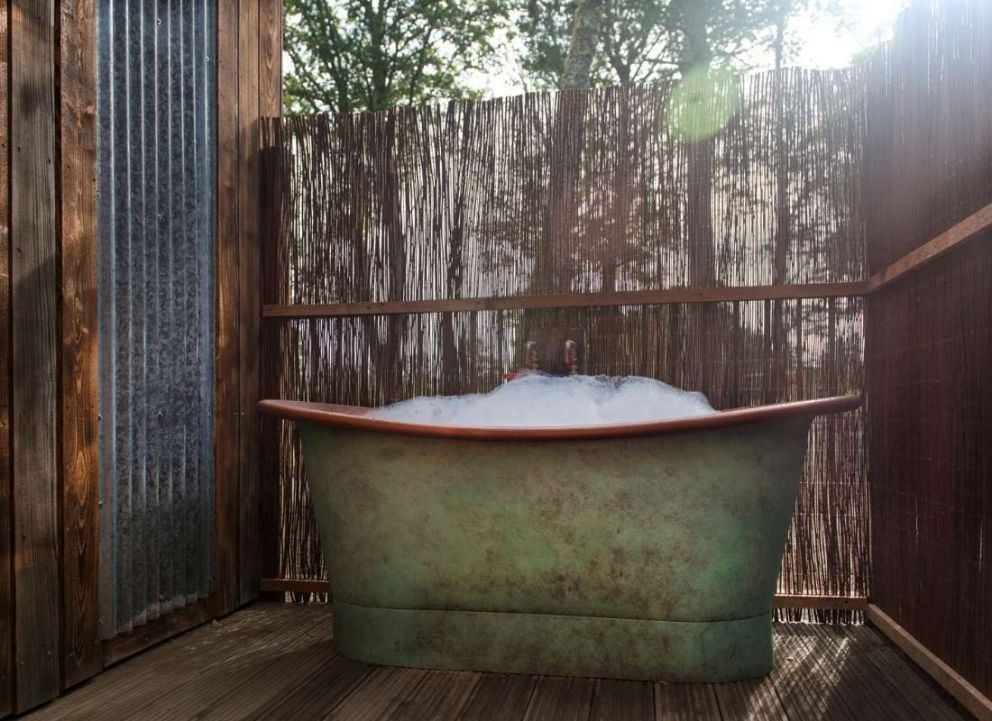 Treecreeper Perthshire