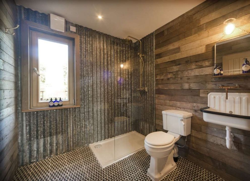 Treecreeper Perthshire