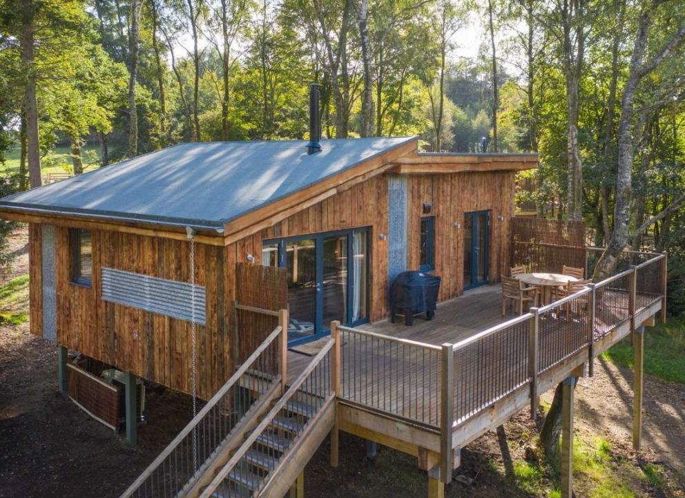 Treecreeper Perthshire