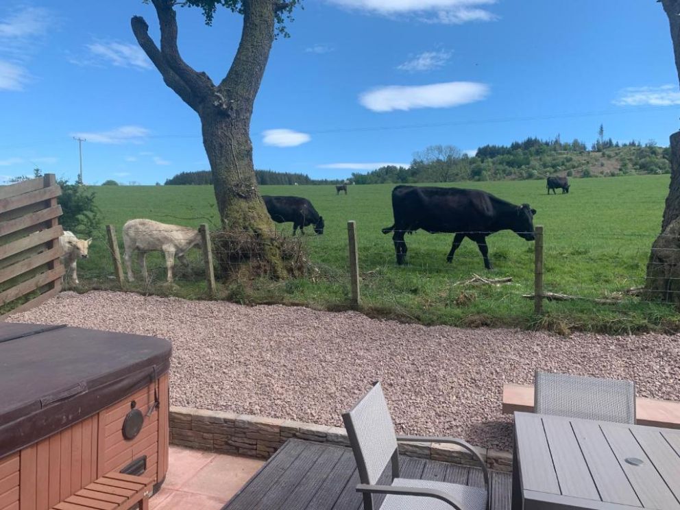 Woodburn Lodges Scotland