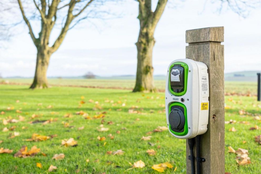 2 Pheasant, Berkshire