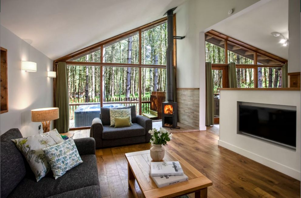 Blackwood Forest Hampshire