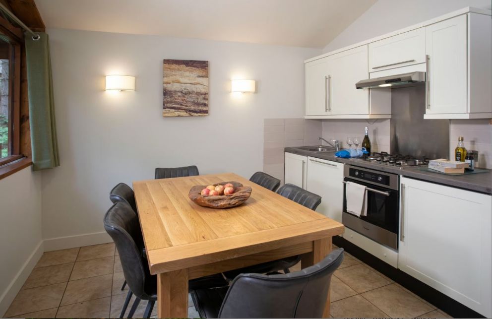 Blackwood Forest Hampshire