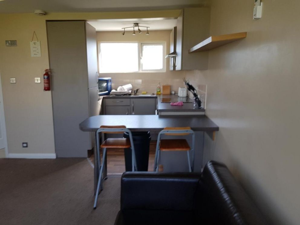 Camber Sands Holiday Chalets - The Grey in Camber - pet friendly lodge for rent, close to the beach