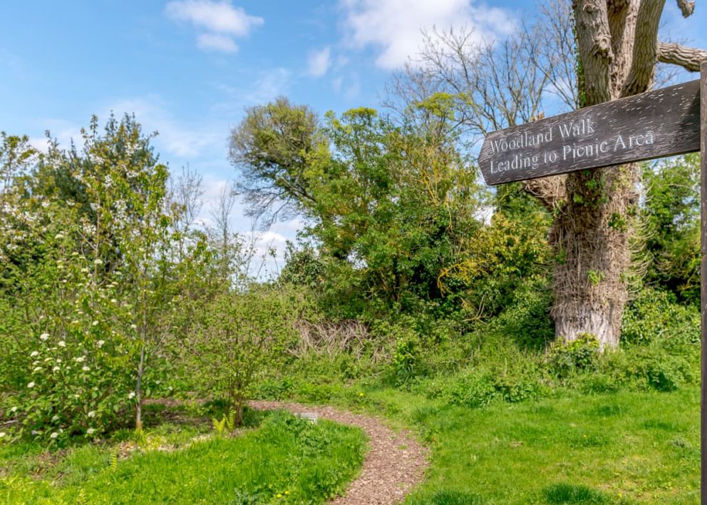 Canterbury Reach Lodge Retreat