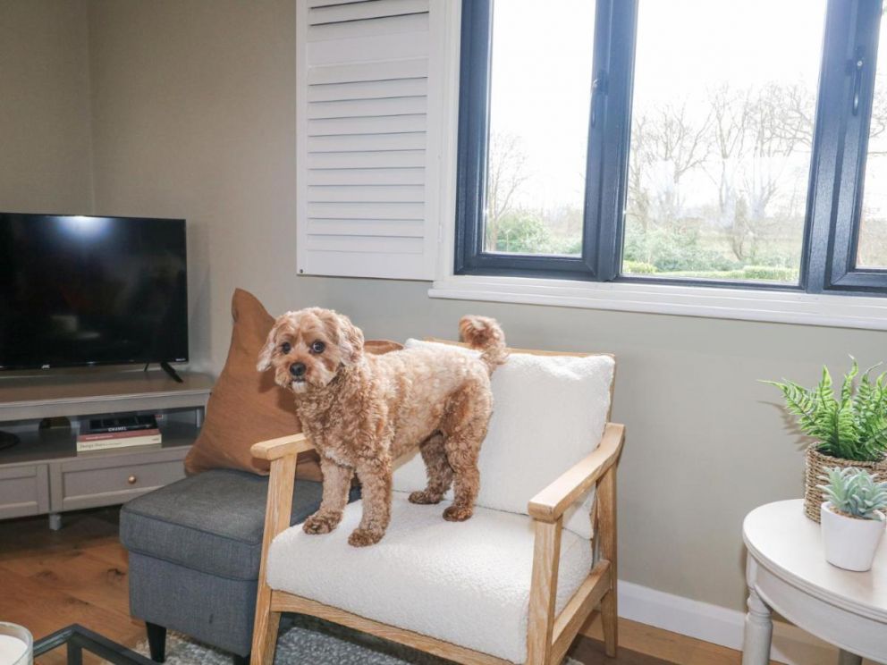 Holm Oaks Cottage, Surrey