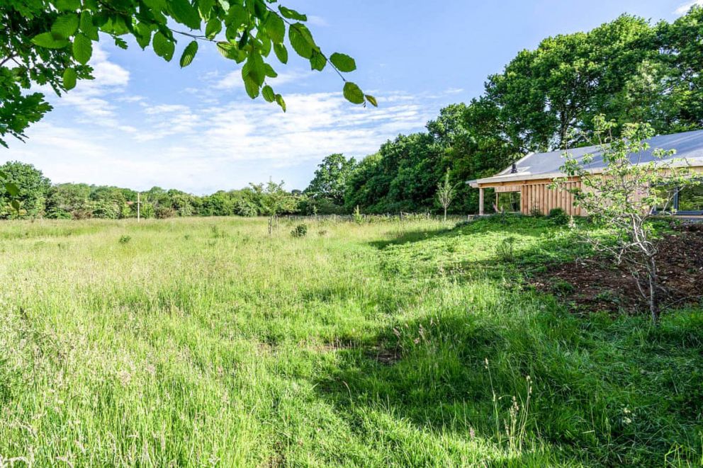 Meadow Hide