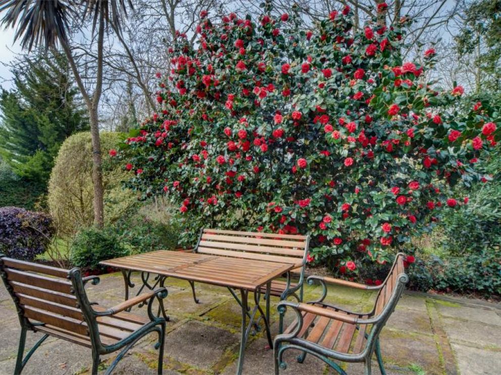 Sea View Cabin in Gurnard - for rent by the sea with hot tub