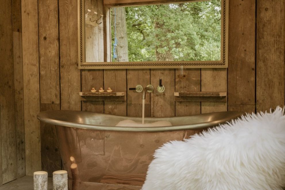 The Coding Hut, New Forest