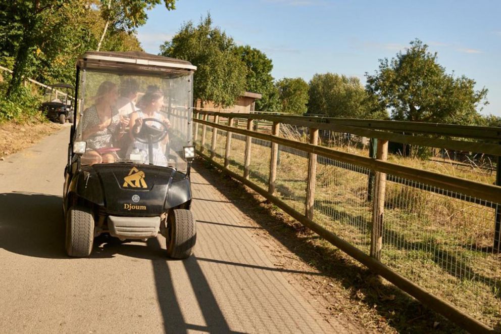 Tiger Lodge at Port Lympne Hotel & Reserve