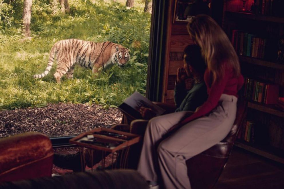 Tiger Lodge at Port Lympne Hotel & Reserve