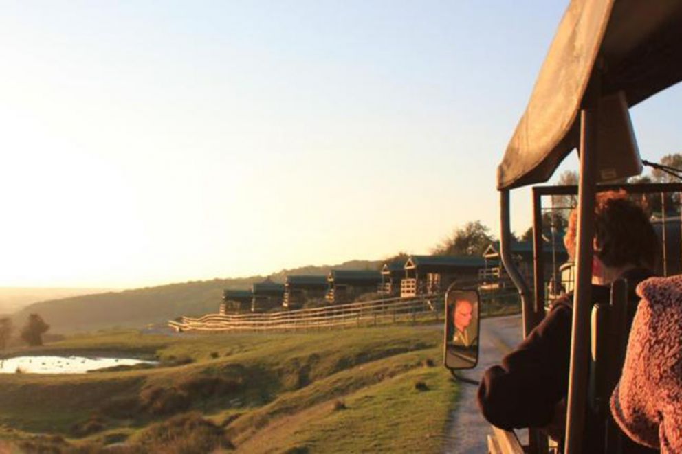 Tiger Lodge at Port Lympne Hotel & Reserve