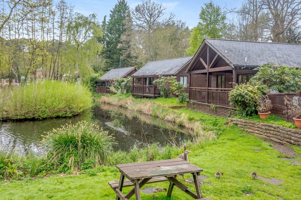 Tilford Woods Lodge Retreat