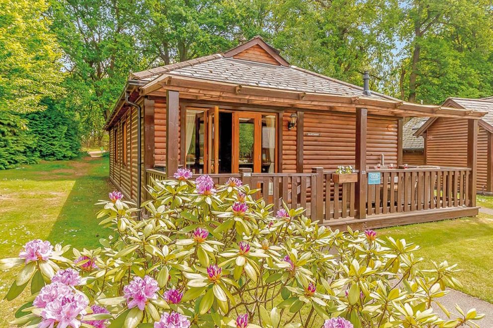 Tilford Woods Lodge Retreat