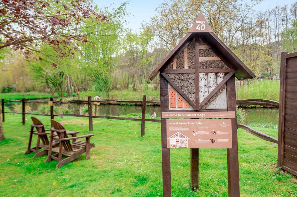 Tilford Woods Lodge Retreat