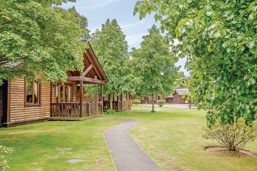 Tilford Woods Lodge Retreat Farnham, Surrey Self Catering Holiday